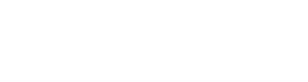 logo sky solution